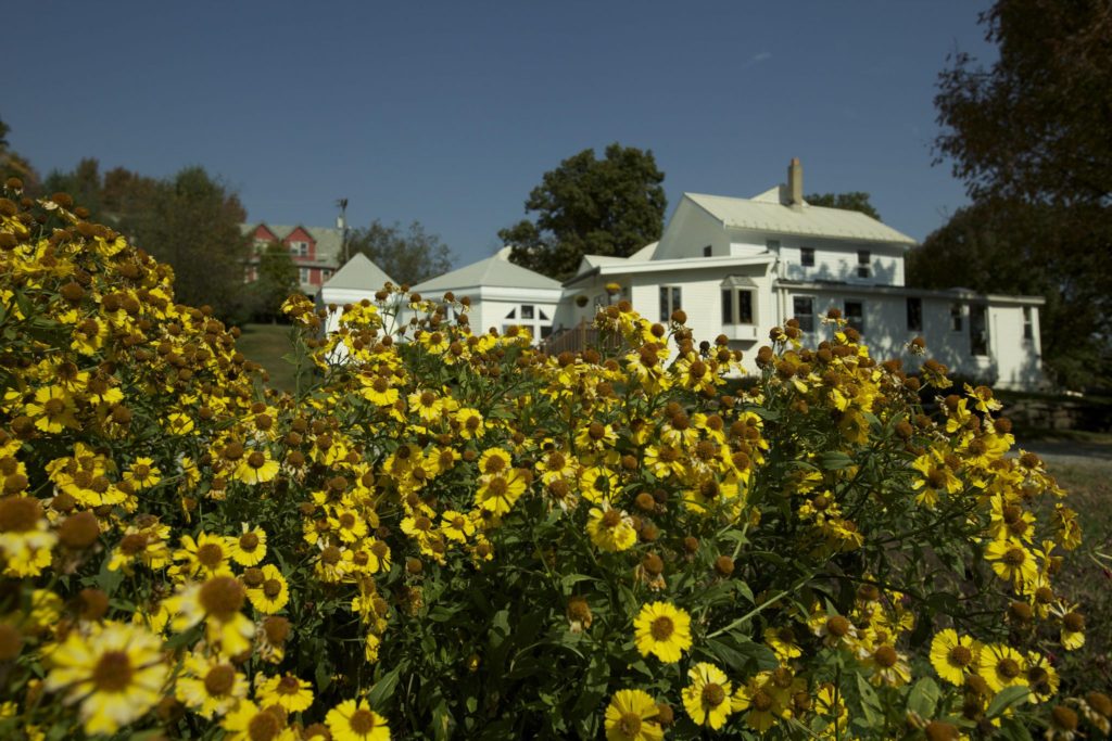 The programs featured image